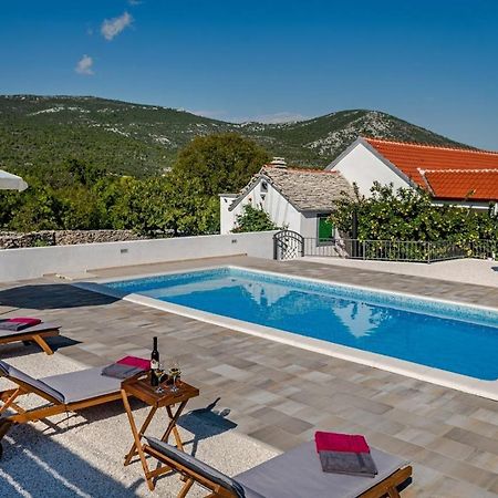 House Camellia With Fenced Pool And Playground Villa Blizna Donja Exterior photo