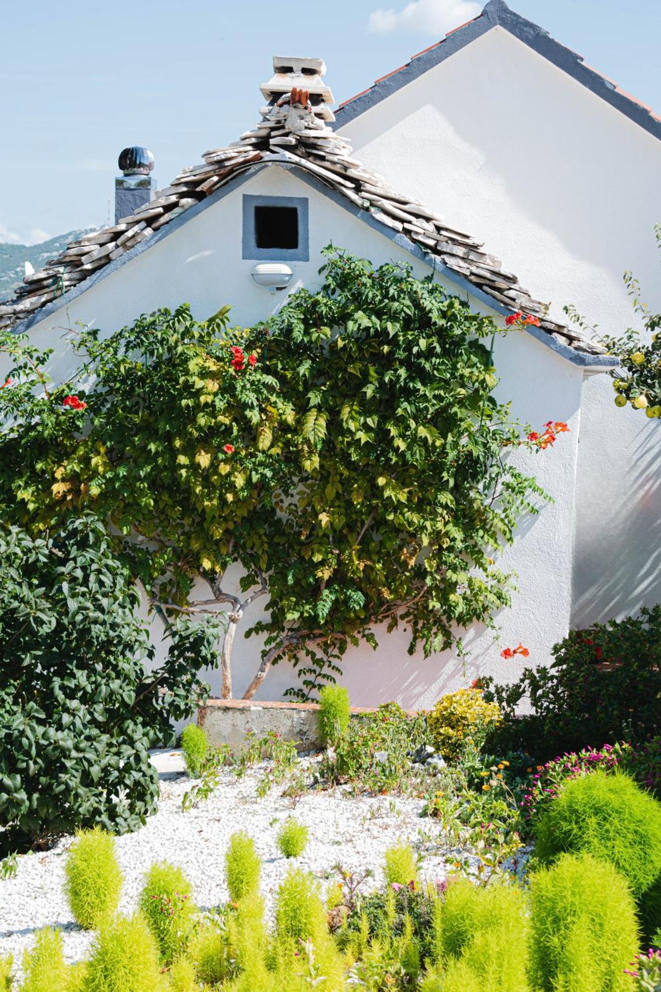 House Camellia With Fenced Pool And Playground Villa Blizna Donja Exterior photo
